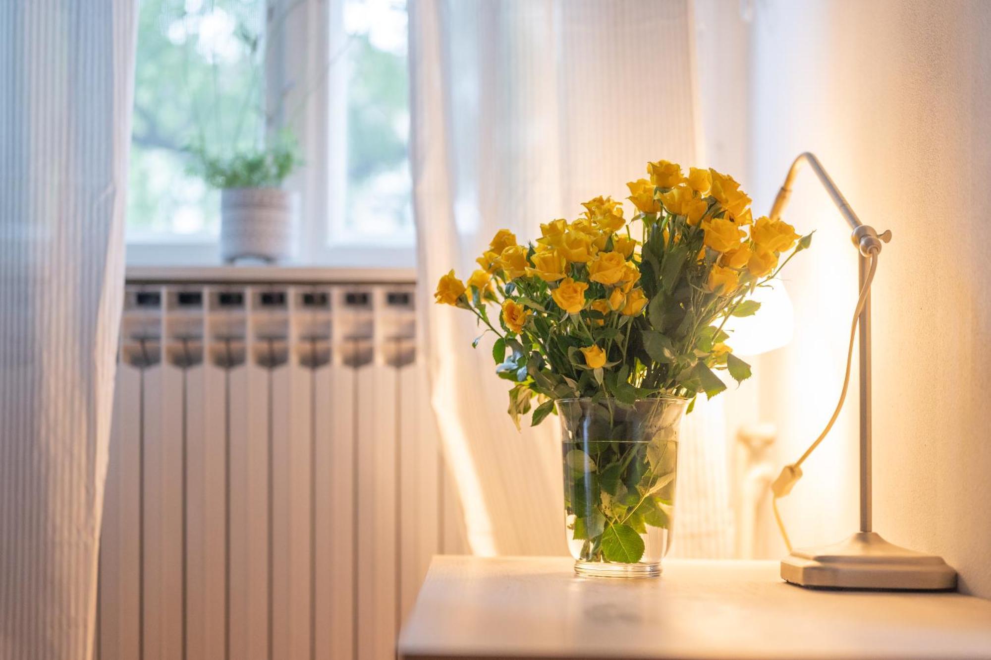 Bricks & Bikes Apartment Zagreb Ngoại thất bức ảnh