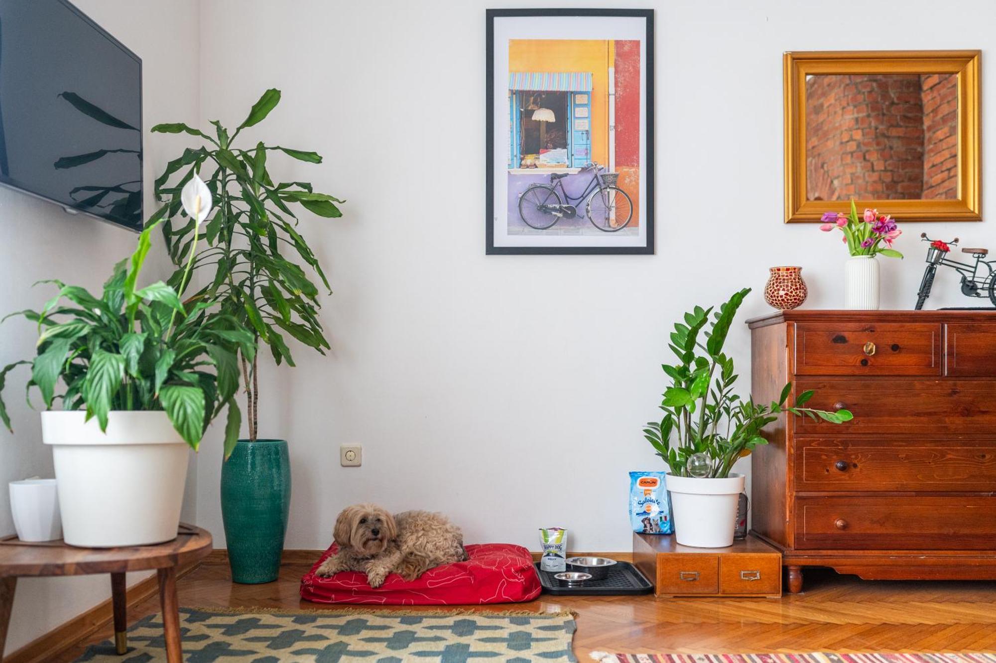 Bricks & Bikes Apartment Zagreb Ngoại thất bức ảnh